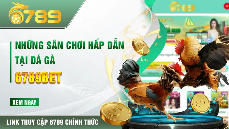 Những sân chơi hấp dẫn tại đá gà 6789bet